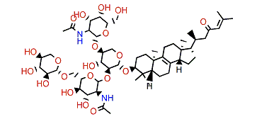 Sarasinoside C1